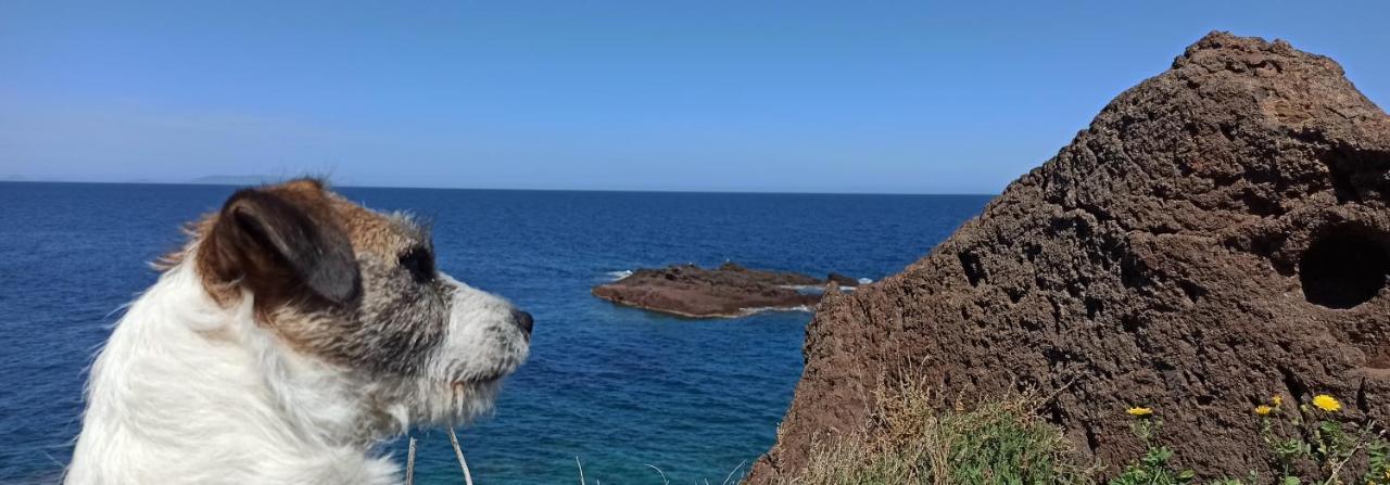 Apartmán Gioiellino Sardo Castelsardo Exteriér fotografie